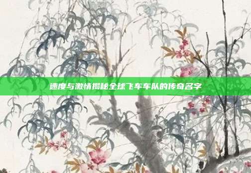速度与激情揭秘全球飞车车队的传奇名字