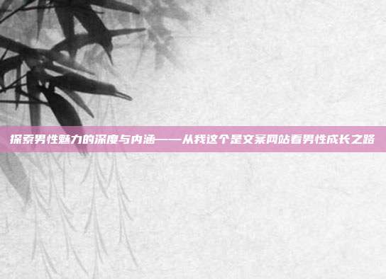 探索男性魅力的深度与内涵——从我这个是文案网站看男性成长之路