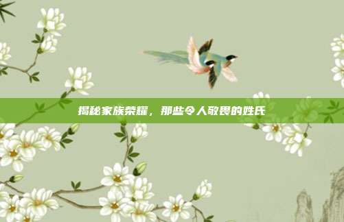 揭秘家族荣耀，那些令人敬畏的姓氏