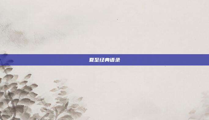夏至经典语录