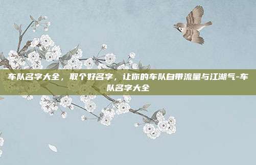 车队名字大全,取个好名字,让你的车队自带流量与江湖气-车队名字大全
