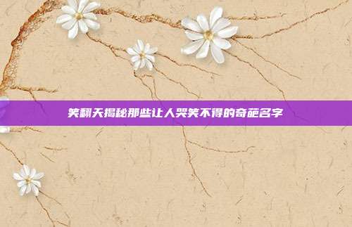 笑翻天揭秘那些让人哭笑不得的奇葩名字