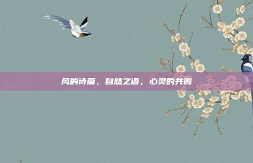 风的诗篇,自然之语,心灵的共鸣