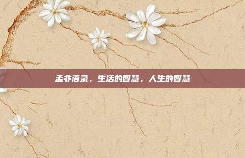 孟非语录,生活的智慧,人生的智慧