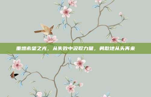 重燃希望之光,从失败中汲取力量,勇敢地从头再来