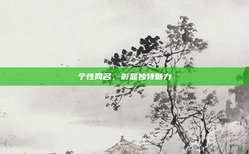 个性网名,彰显独特魅力