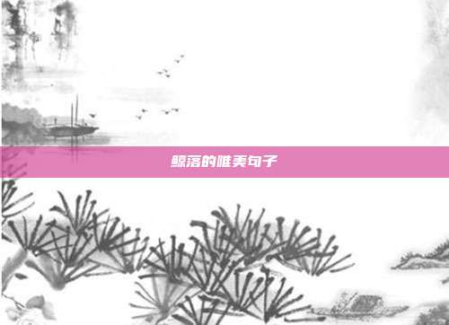 鲸落的唯美句子