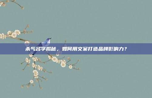 杀气名字揭秘,如何用文案打造品牌影响力?