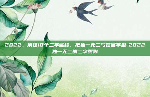 2022，用这10个二字昵称，把独一无二写在名字里-2022独一无二的二字昵称