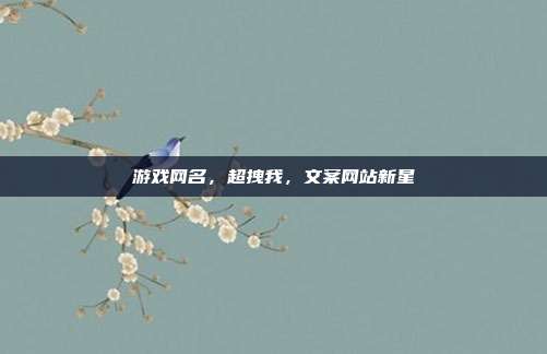 游戏网名，超拽我，文案网站新星