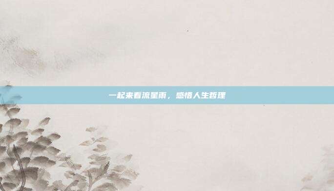一起来看流星雨，感悟人生哲理
