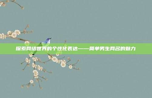 探索网络世界的个性化表达——简单男生网名的魅力
