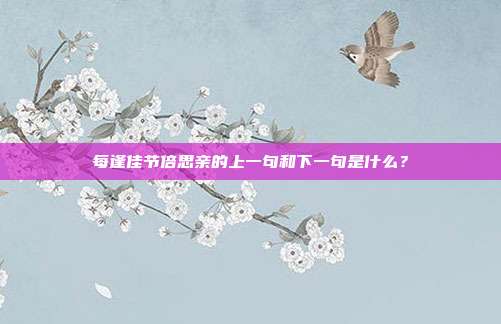 每逢佳节倍思亲的上一句和下一句是什么？