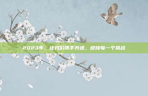 2023年,让我们携手共进,迎接每一个挑战
