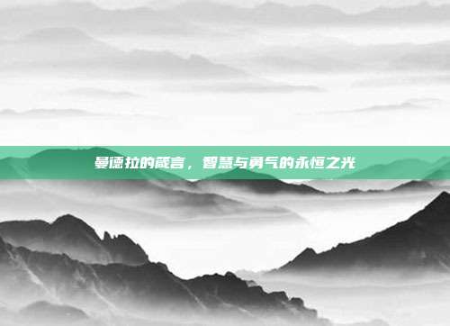 曼德拉的箴言,智慧与勇气的永恒之光