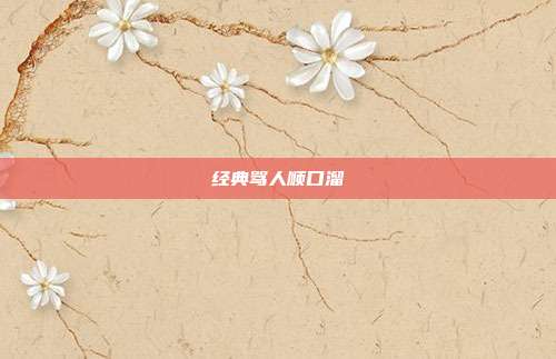 经典骂人顺口溜