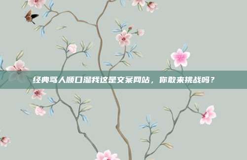 经典骂人顺口溜我这是文案网站，你敢来挑战吗？