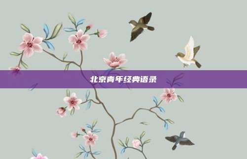 北京青年经典语录