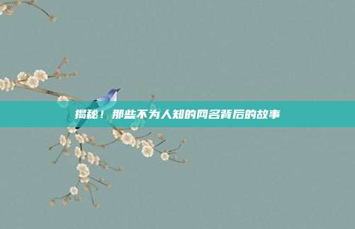 揭秘!那些不为人知的网名背后的故事