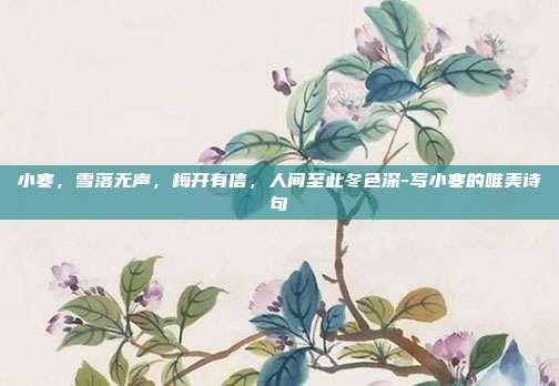 小寒，雪落无声，梅开有信，人间至此冬色深-写小寒的唯美诗句