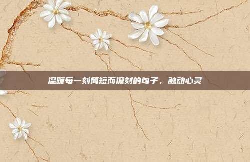 温暖每一刻简短而深刻的句子,触动心灵
