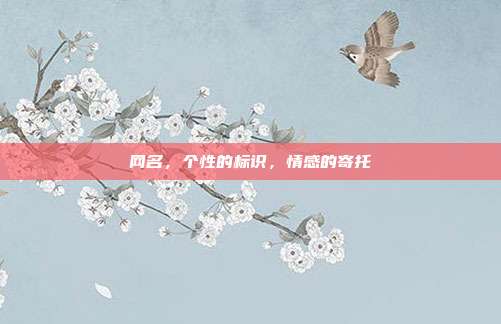 网名,个性的标识,情感的寄托
