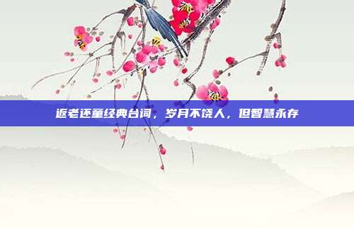 返老还童经典台词,岁月不饶人,但智慧永存