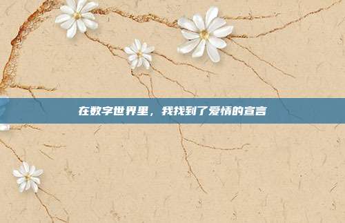 在数字世界里,我找到了爱情的宣言