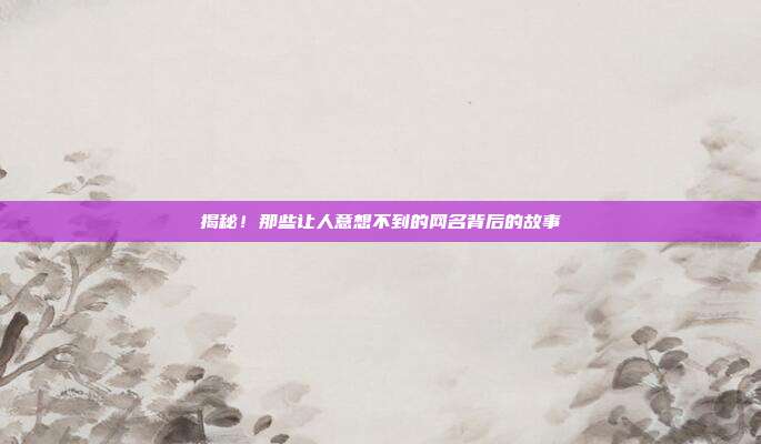 揭秘!那些让人意想不到的网名背后的故事