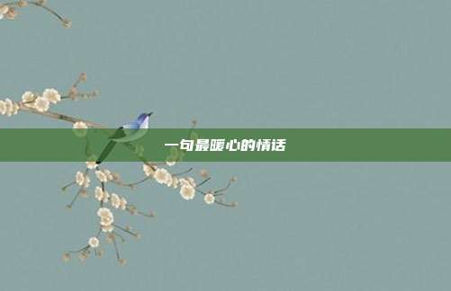 一句最暖心的情话