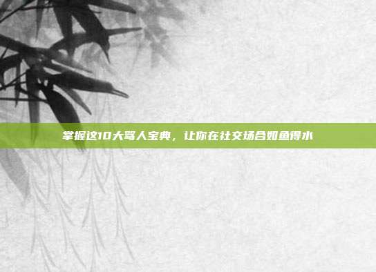 掌握这10大骂人宝典,让你在社交场合如鱼得水