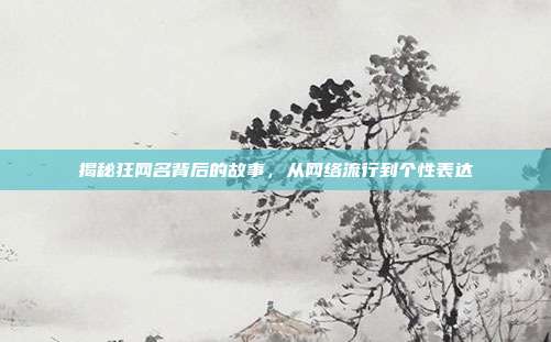 揭秘狂网名背后的故事,从网络流行到个性表达