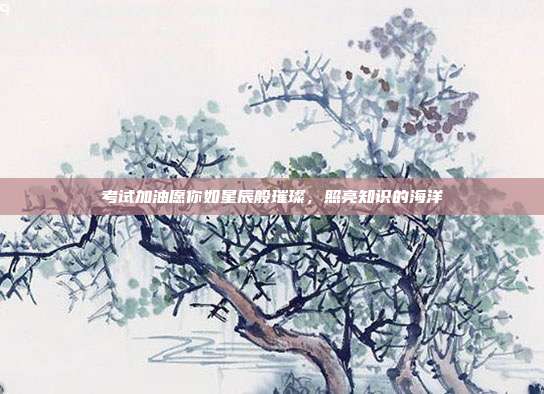 考试加油愿你如星辰般璀璨,照亮知识的海洋
