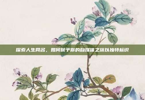 探索人生网名,如何赋予你的自媒体之旅以独特标识