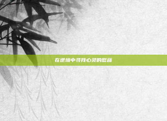 在逆境中寻找心灵的慰藉