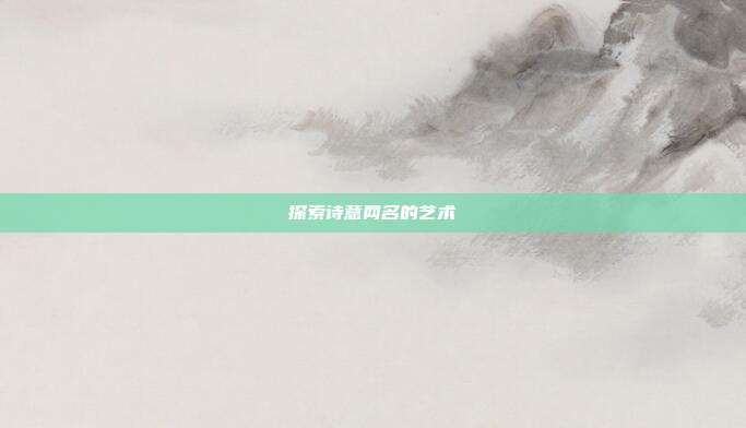 探索诗意网名的艺术
