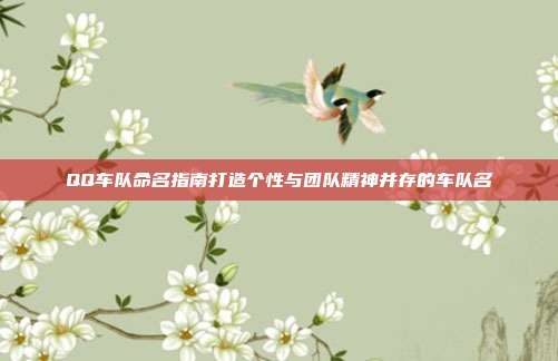QQ车队命名指南打造个性与团队精神并存的车队名