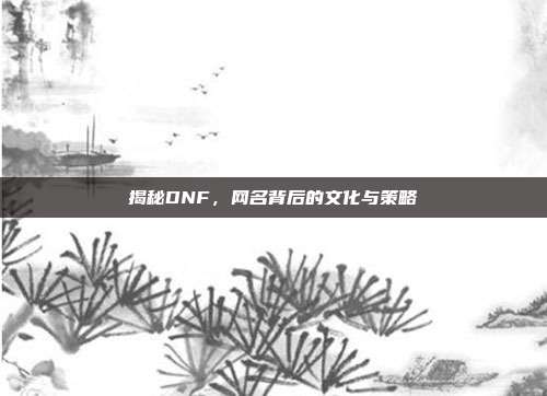揭秘DNF,网名背后的文化与策略