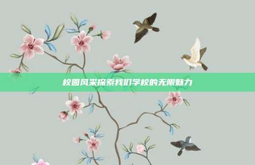 校园风采探索我们学校的无限魅力