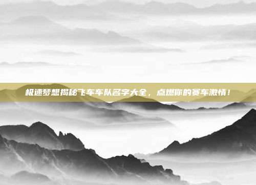 极速梦想揭秘飞车车队名字大全,点燃你的赛车激情!