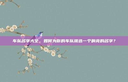 车队名字大全，如何为你的车队挑选一个响亮的名字？