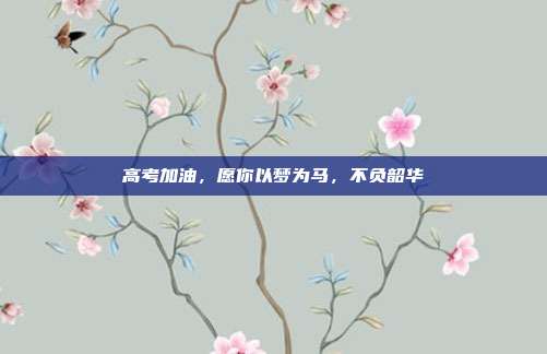 高考加油,愿你以梦为马,不负韶华