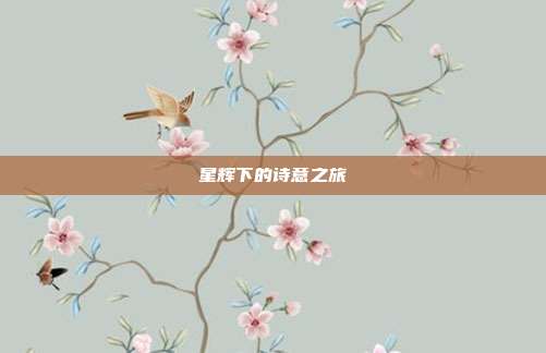 星辉下的诗意之旅