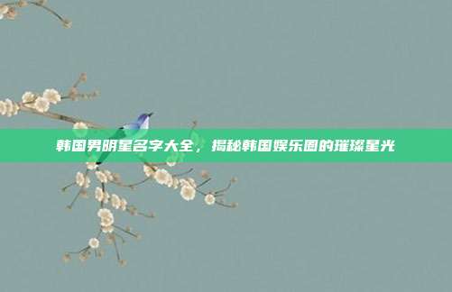 韩国男明星名字大全,揭秘韩国娱乐圈的璀璨星光