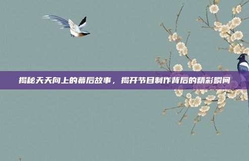 揭秘天天向上的幕后故事，揭开节目制作背后的精彩瞬间