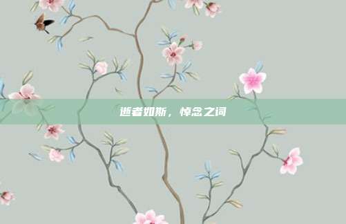 逝者如斯，悼念之词