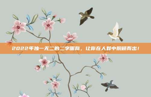 2022年独一无二的二字昵称,让你在人群中脱颖而出!