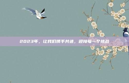 2023年,让我们携手共进,迎接每一个挑战