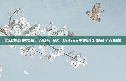 篮球梦想的舞台,NBA 2K Online中的俱乐部名字大揭秘