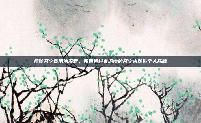 揭秘名字背后的深意，如何通过有深度的名字来塑造个人品牌